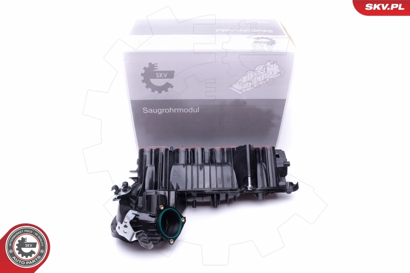 Intake Manifold Module